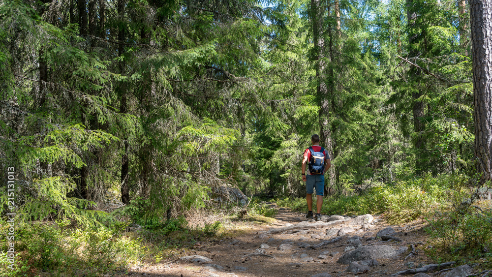 Obraz premium Mann mit Rucksack wandert durch einen Wald