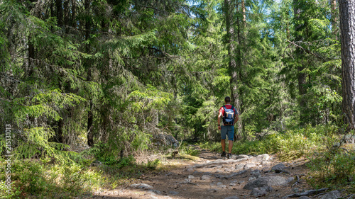 Mann mit Rucksack wandert durch einen Wald