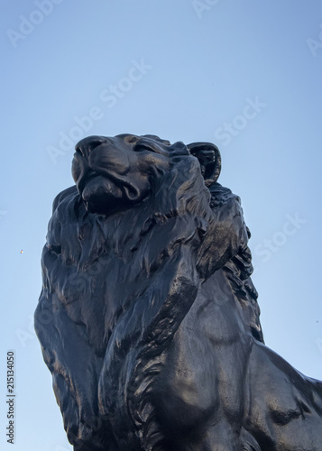 Lion at the base of Columbus Column.