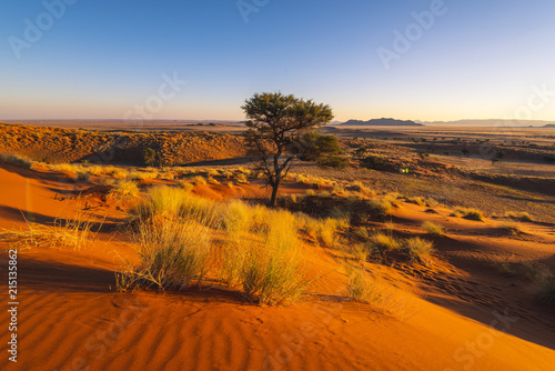 Namib-Naukluft National Park, Namibia, Africa. Petrified red dunes. photo
