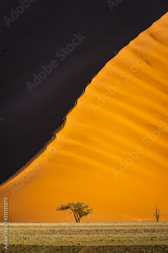 Giant sand dunes, Sossusvlei, Namib-Naukluft National Park, Namibia photo