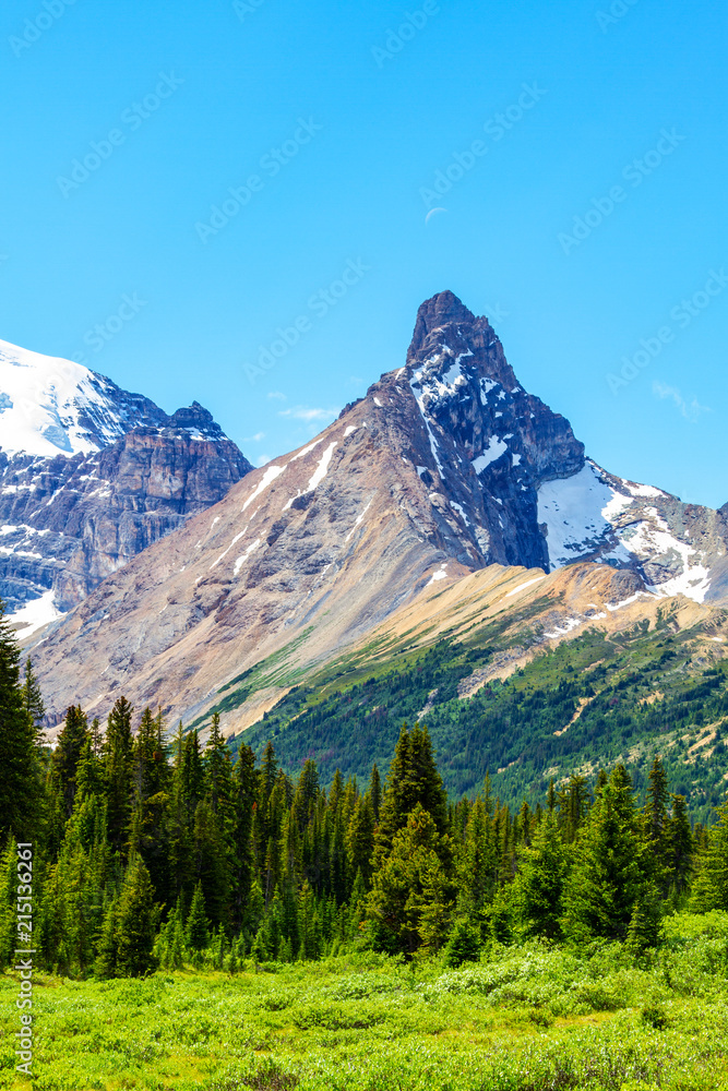 Hilda Peak in the Canadian Rockies at Parker Ridge in Jasper National Park