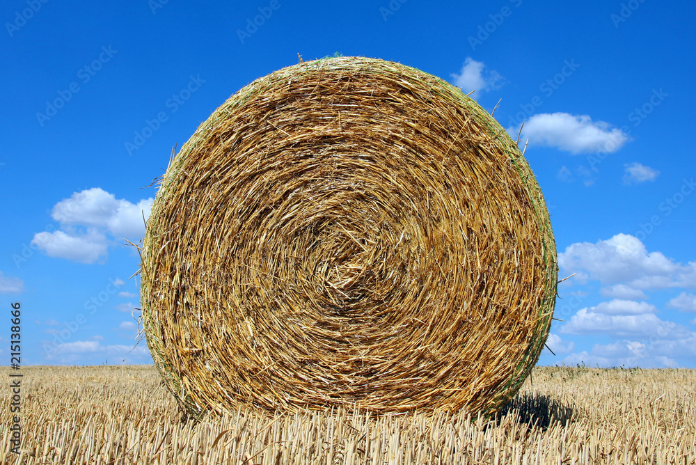Round bale of straw on a stubble field and blue sky Round bale of straw on a stubble field and blue sky