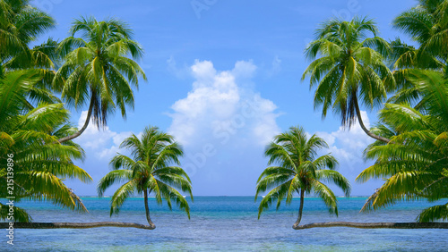 Picturesque tropical seascape with palm trees and the endless turquoise sea.