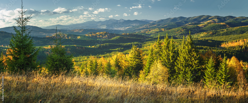 Autumn sunny landscape in the hills mountains.