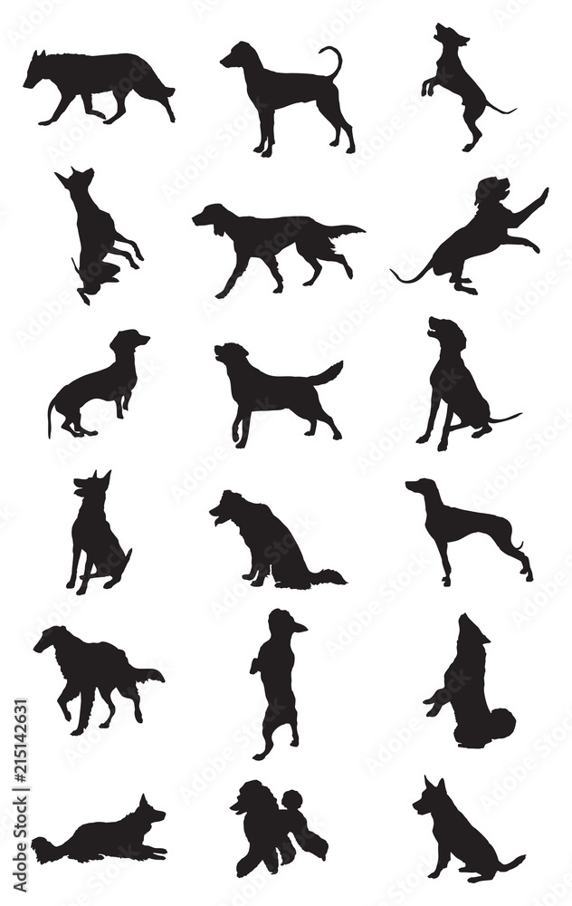 Vector dogs breeds silhouettes