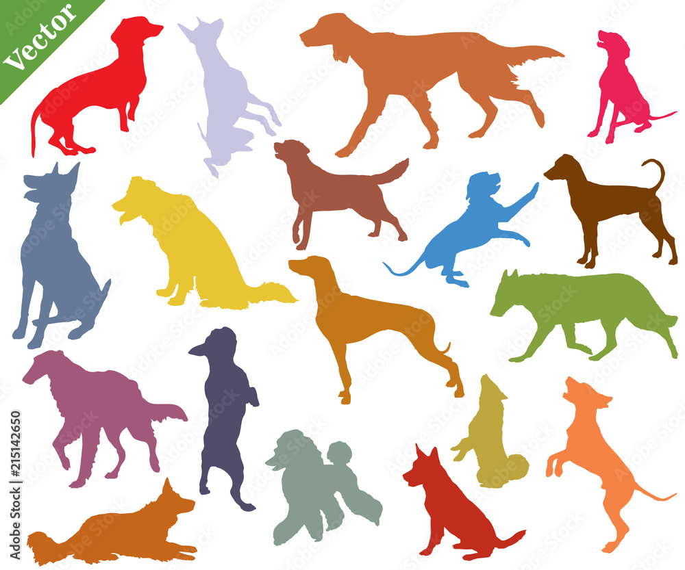 Vector set of colorful dogs silhouettes