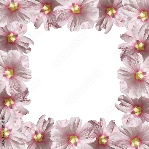 Wallpaper Mural Beautiful floral background of pink mallows  Torontodigital.ca