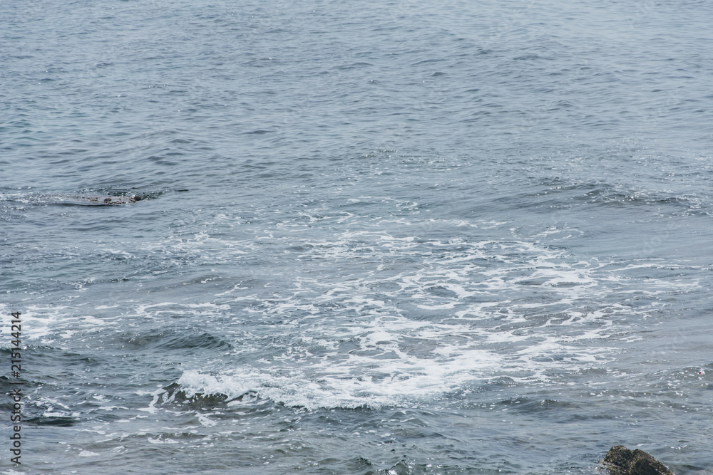 Fototapeta premium Coast. Sea waves. Stone beach. Mediterranean Sea. Water splashes. Place for inspiration. Background for travel company. Rest on the sea.