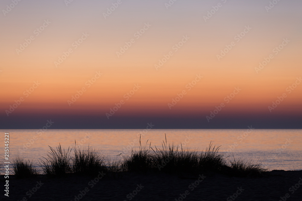 Beach grass silhouetted by the setting sun over Lake Michigan