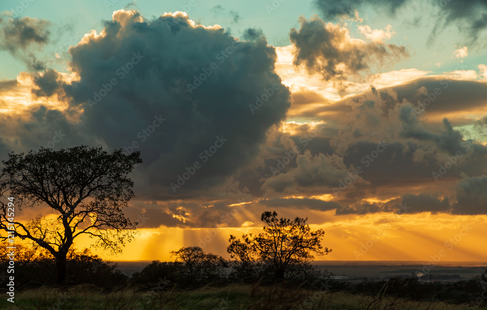 Silhouetted trees with massive cloud and sunlight background Silhouetted trees with massive cloud and sunlight background