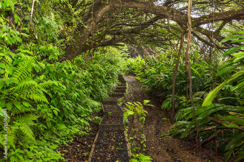 Ascension Island