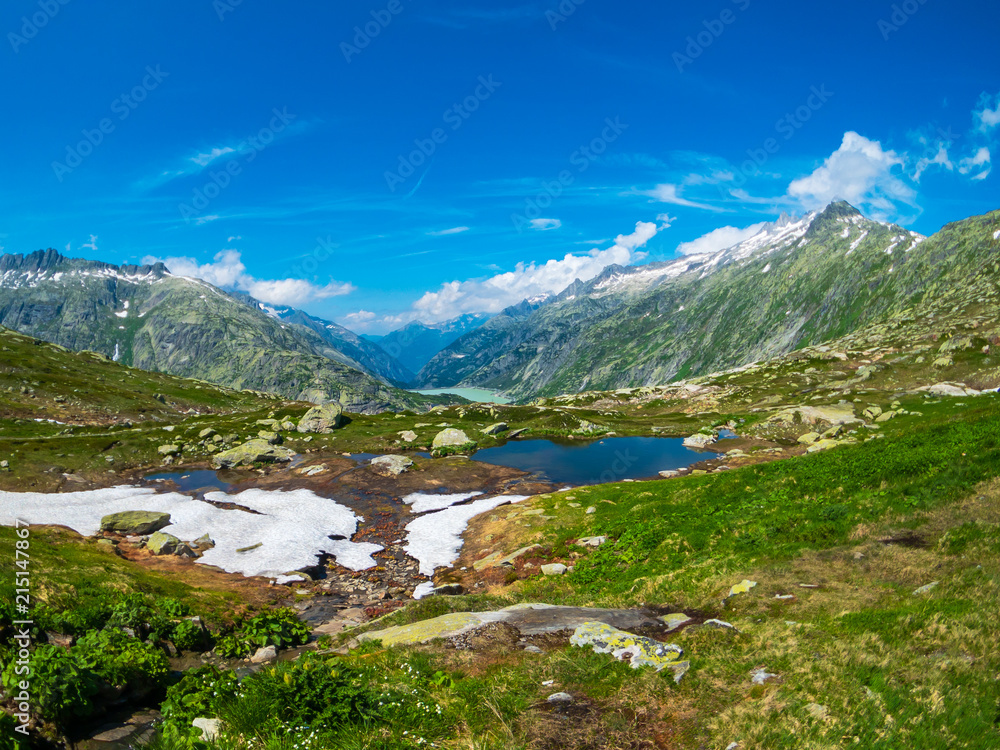 Summer landscape of Switzerland nature at Grimsel pass