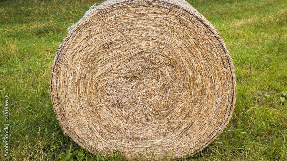 Beautiful countryside landscape image of hay bales in Summer . Field with haystacks after the harvest of wheat . Hay bales in field . Beautiful countryside landscape image of hay bales in Summer . Field with haystacks after the harvest of wheat . Hay bales in field .