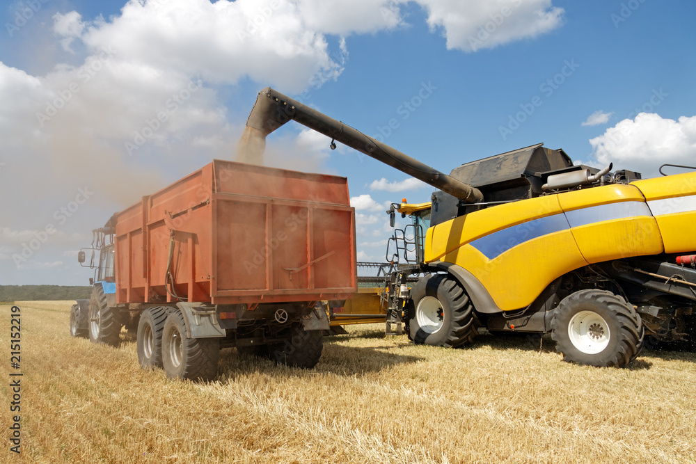 Combine harvester load wheat in the truck at the time of harvest in a sunny summer day Combine harvester load wheat in the truck at the time of harvest in a sunny summer day