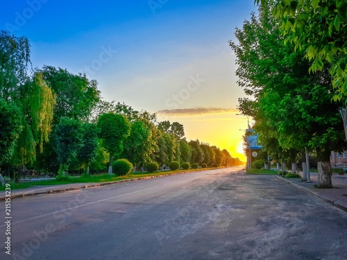 Tender warm sunset light over the street planted with green trees