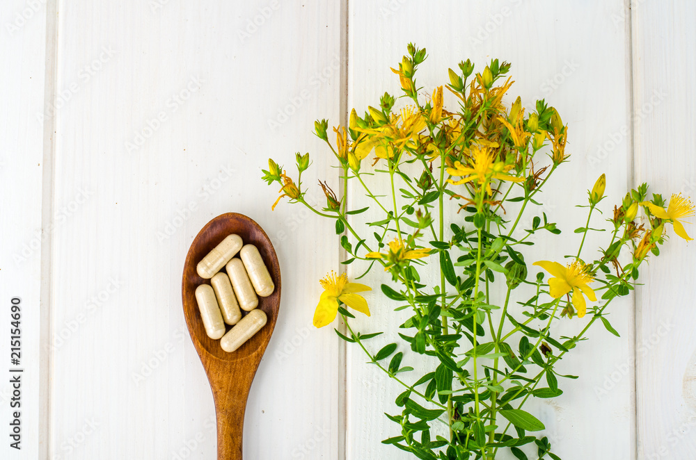 Φωτογραφία St. John's wort, herbal medical pills.