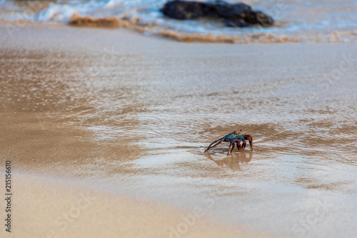 Ascension Island © Josh