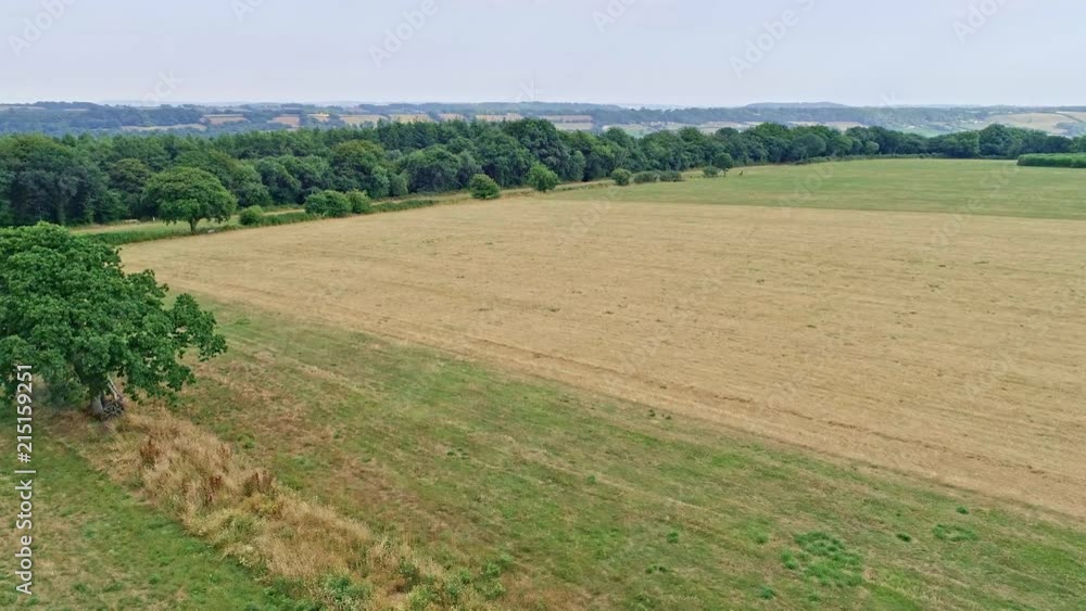 4K Aerial View. Low Flight Over Green And Yellow Wheat Rural Field In The English Countryside. East Devon, England 4K Aerial View. Low Flight Over Green And Yellow Wheat Rural Field In The English Countryside. East Devon, England