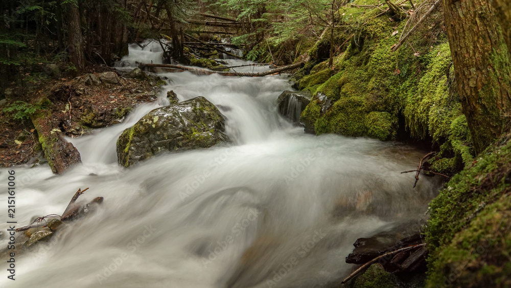 Obraz premium Moving Water