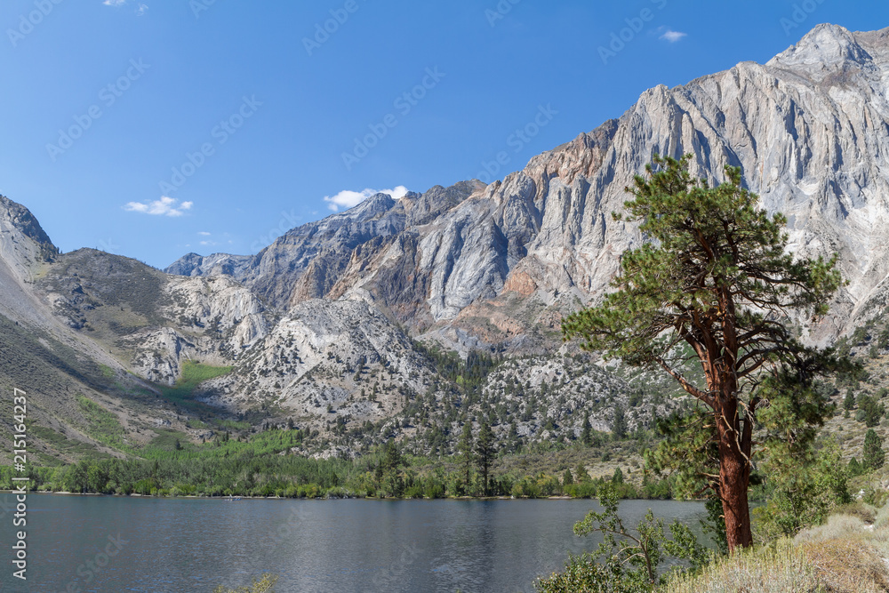 Convict Lake with Laurel Mountain in the Background, Framed by a Tall Pine Tree