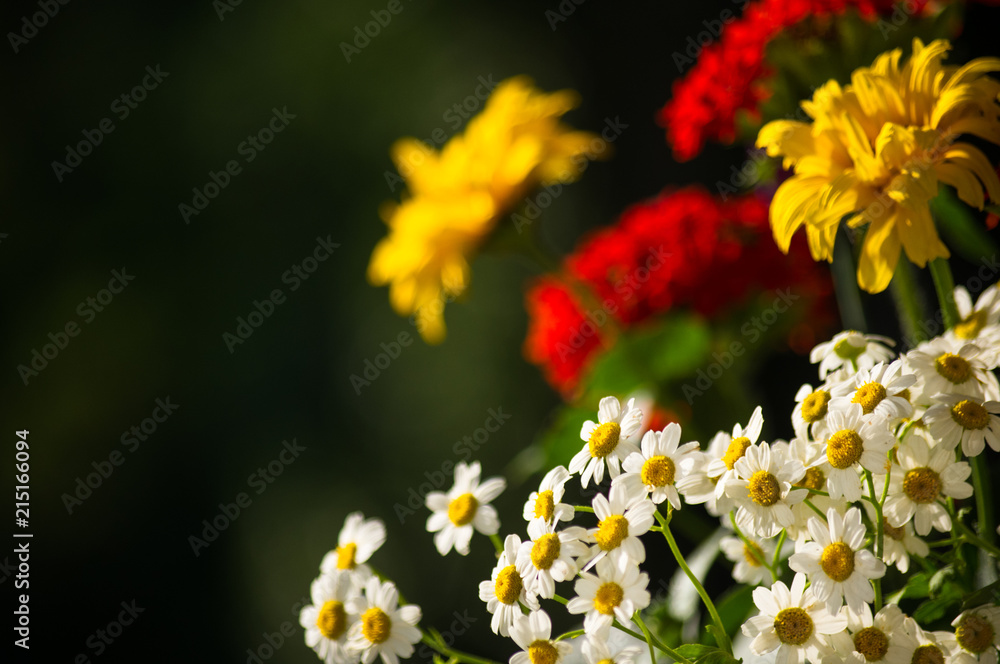 a bouquet of bright spring flowers of various types