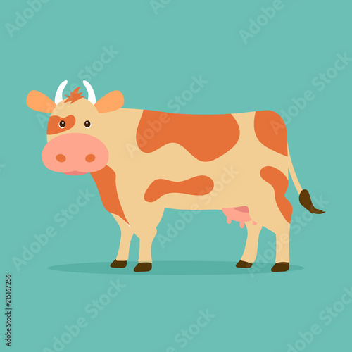 Cute cow isolated on blue background. Vector illustration in cartoon flat design style.