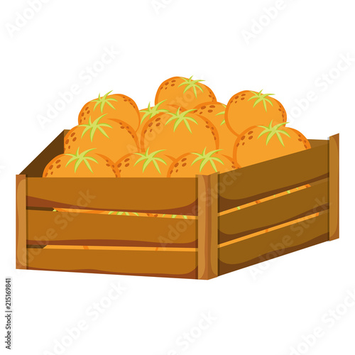 delicious oranges fruits inside wood box
