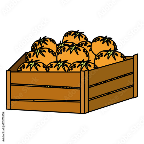 color delicious oranges fruits inside wood box