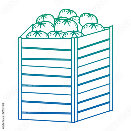 degraded line oranges fruits inside big wood box