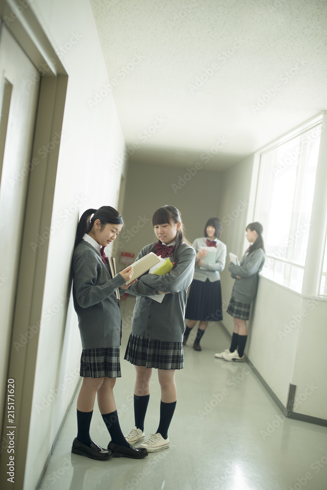 Obraz premium 廊下で談笑をする中学生