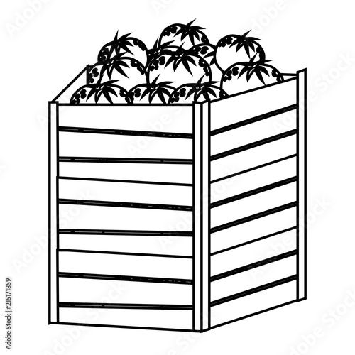 line oranges fruits inside big wood box