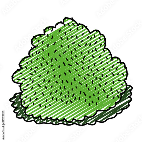 doodle nature bush plant with exotic leaves