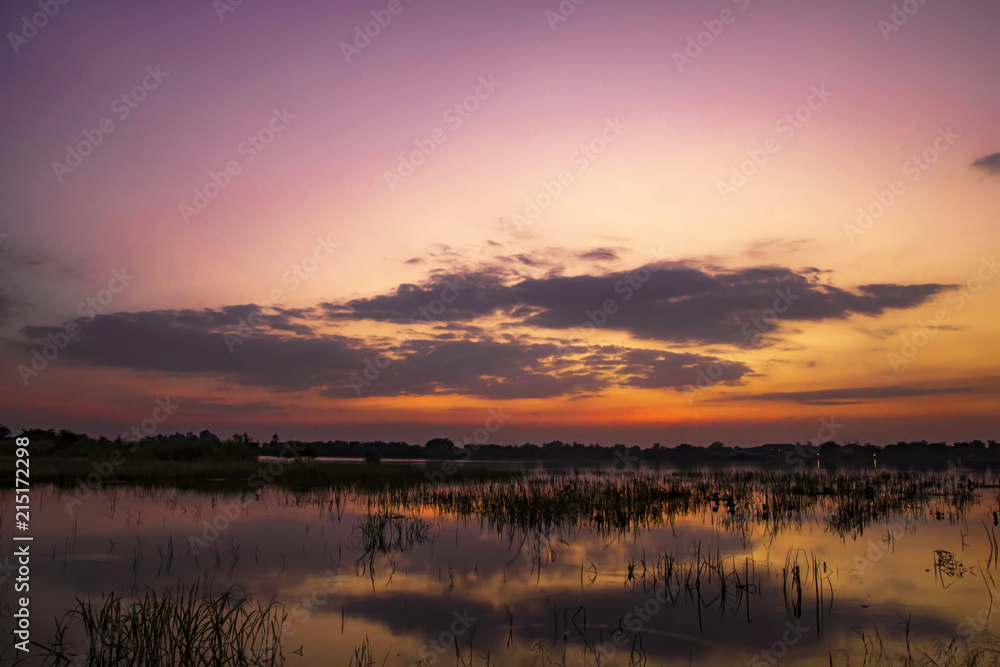 Sunset reflect on water at lake farm field landscape and tree silhouette with cloudy twilight sky background