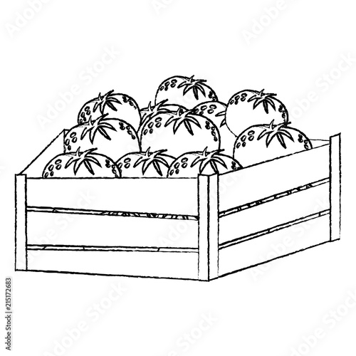 grunge delicious oranges fruits inside wood box