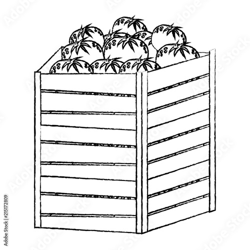 grunge oranges fruits inside big wood box