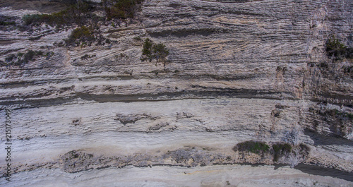 Vegetation on the surface of a sheer rock
