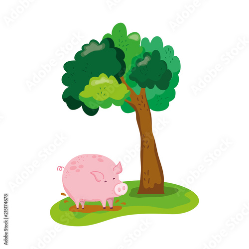 tree next to pig farm animal in swamp