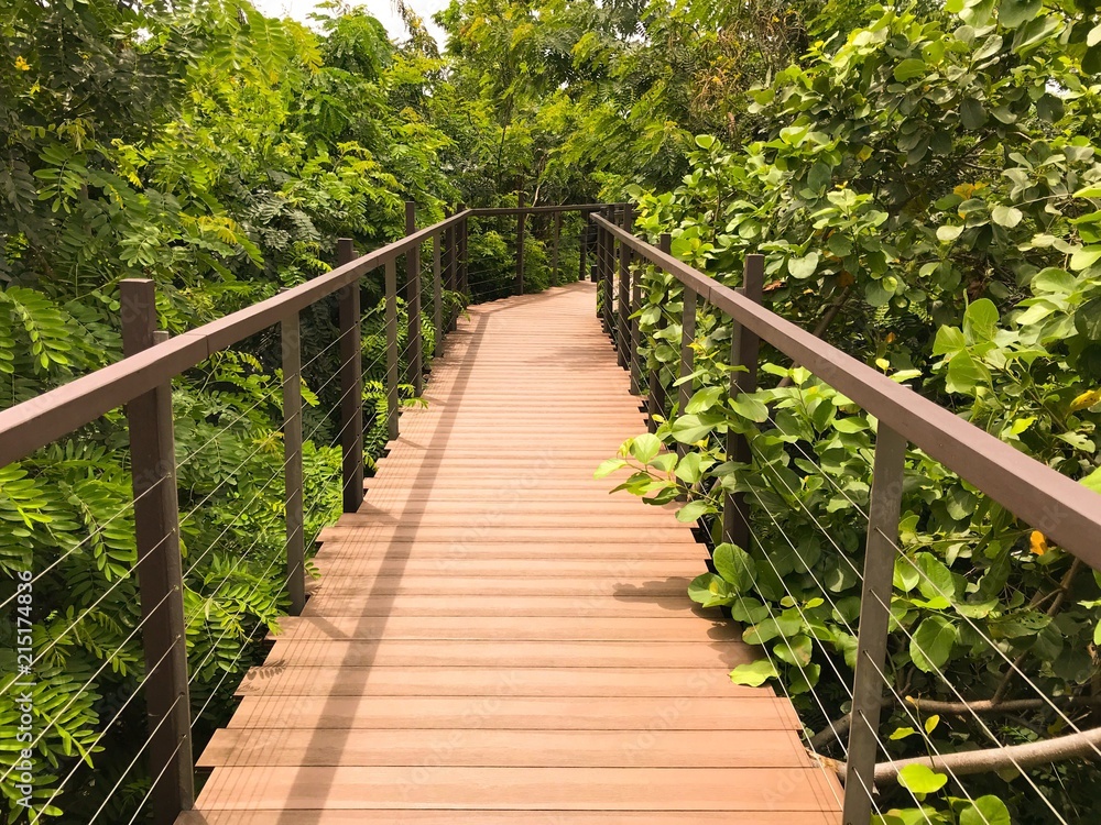 Wooden bridge into forest