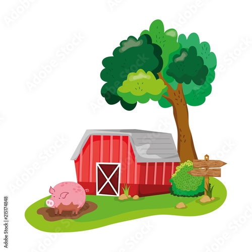house farm with pig animal in the swamp