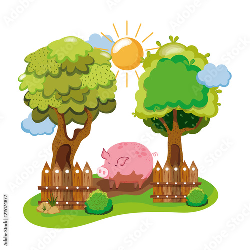 pig animal in the swamp farm and trees