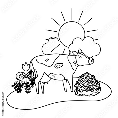 line nice cow animal walking farm