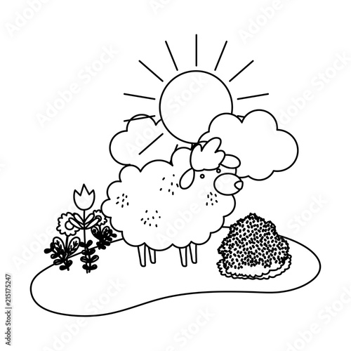 line nice sheep animal walking farm