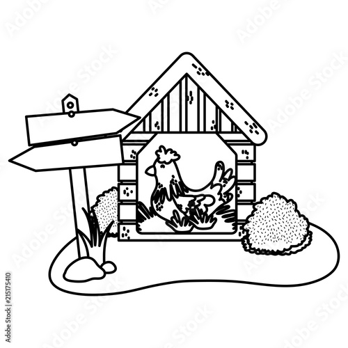 line hen farm animal inside house laying