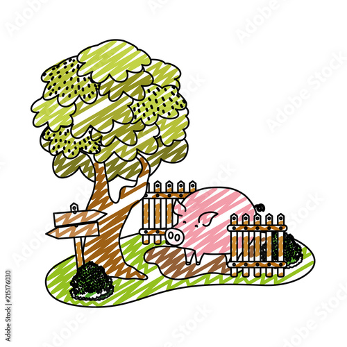 doodle pig farm animal in the swamp with wood grillage