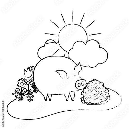 grunge nice pig animal walking farm