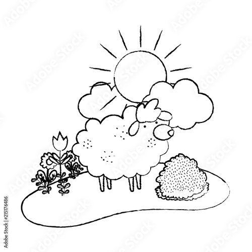 grunge nice sheep animal walking farm