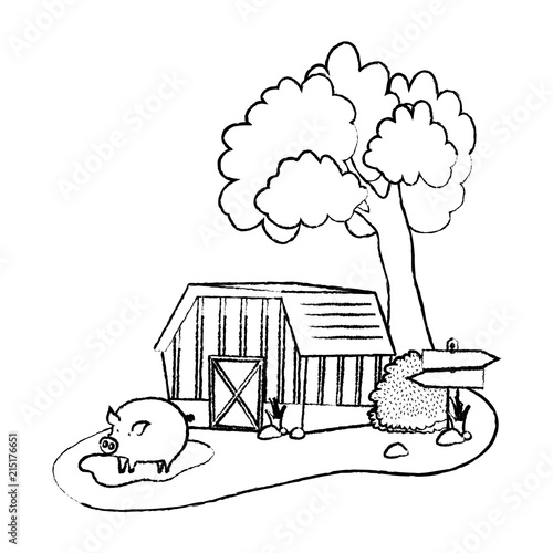 grunge house farm with pig animal in the swamp