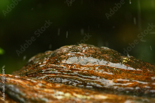 water drop on rock dark background