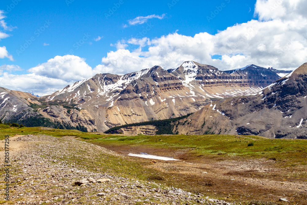 Canadian Rockies at Parker Ridge Hiking Trail in Jasper National Park